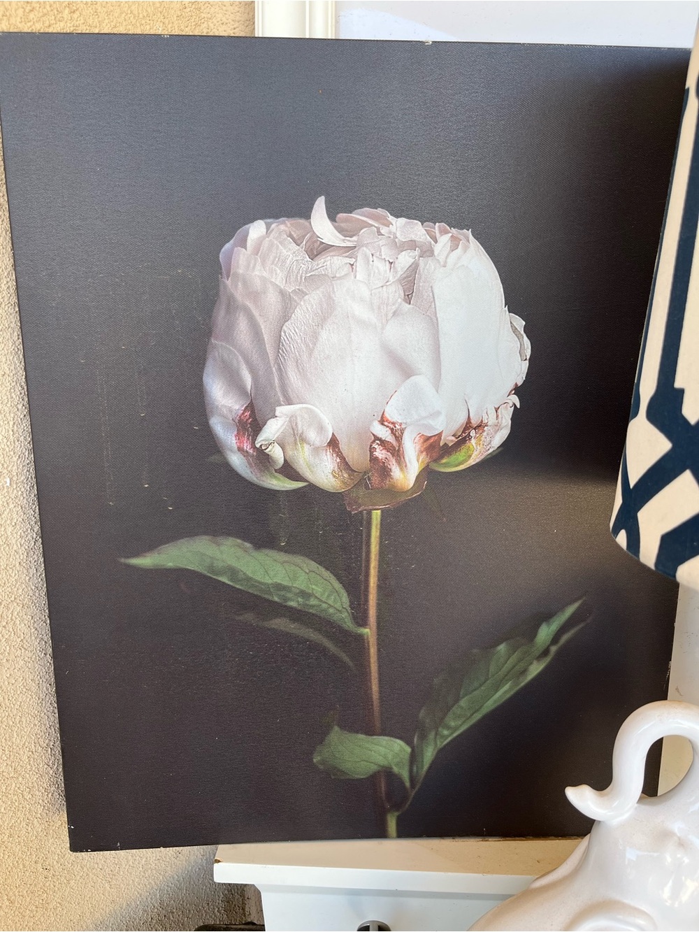 White Peony Floral Canvas Wall Art - Brand